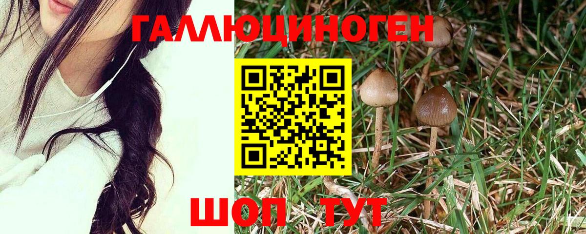 Псилоцибиновые грибы мухоморы  Вход с VPN  Елизово 